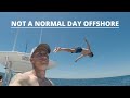 60 Miles Offshore - Fishing Oil Rigs- Orange Beach, AL