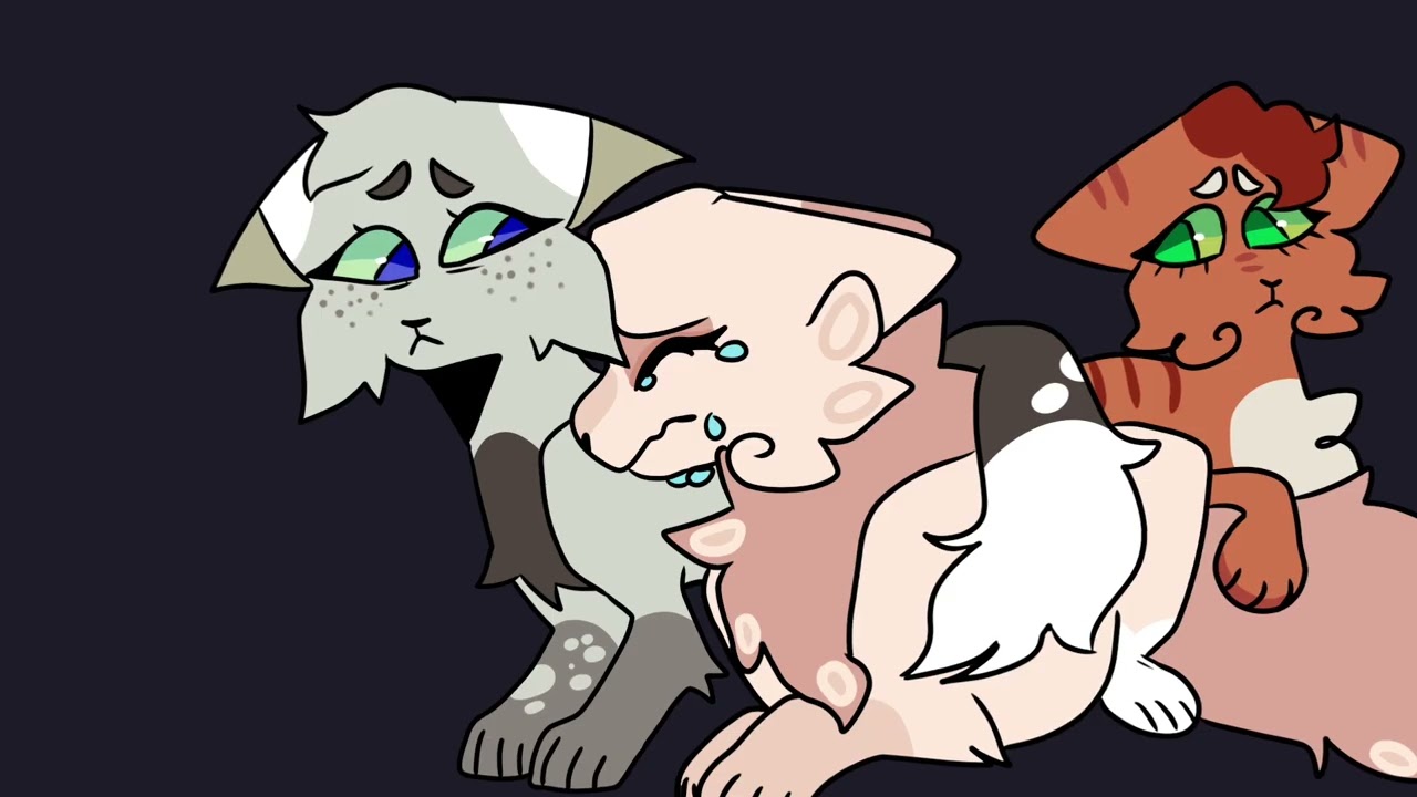 Spiderleg And Daisy Mini Pmv