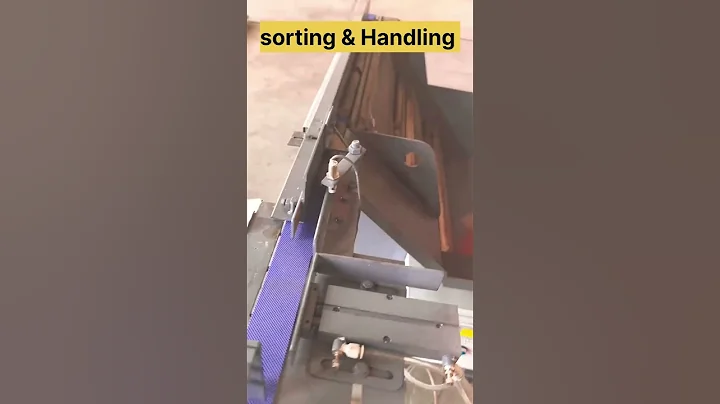 Sorting and material handling automatic system #sorting #materialhandling