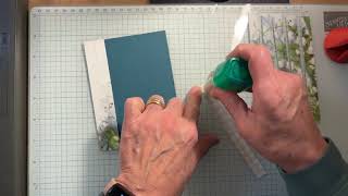 Double Vision Technique cased from Susan Campfield