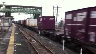 JR貨物 高速B 1073列車 EF210-128牽引貨物列車 通過