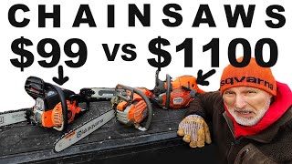 $99 CHAINSAW vs. $1000 CHAINSAW! UNREAL SPEED!