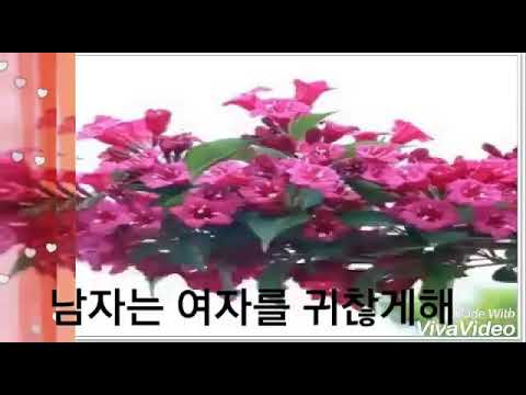 남자는여자를 귀찮게해(문주란)