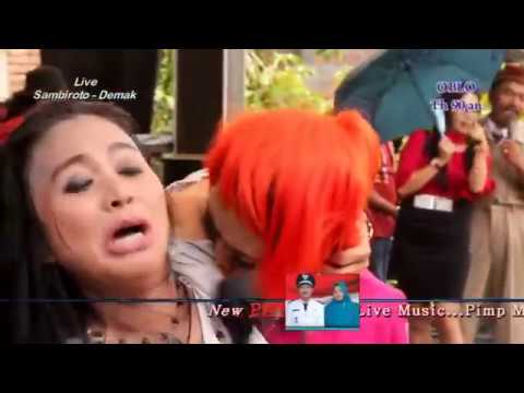 MANOK MORSAL  NORMA SILVIA ft KEMPHO