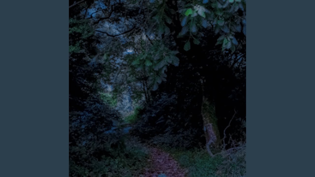 Caminho Entre as Árvores