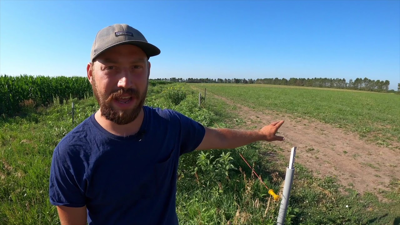 Grain Place Farm Tour - Field Day 2020