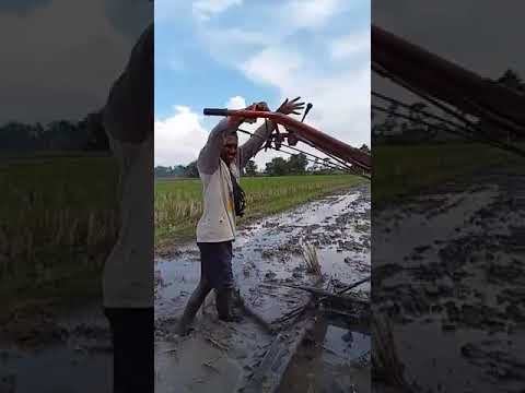 tukang traktor skil krupuk asin
