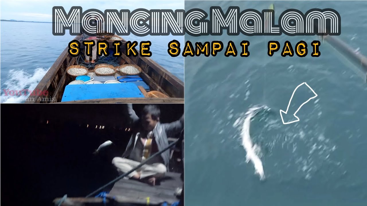 Mancing rawai di Kelong Apung