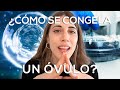 CONGELACIÓN de ÓVULOS: TODO lo que debes saber