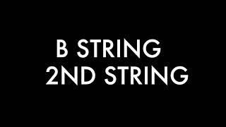 Guitar Tuner - Standard Tuning for 6 String Guitar