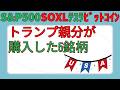 エヌビディア決算に備えよ‼️【今だけ!オンサロ30日以内解約なら実質0円‼️sp500,soxl,テスラ,ビットコイン】