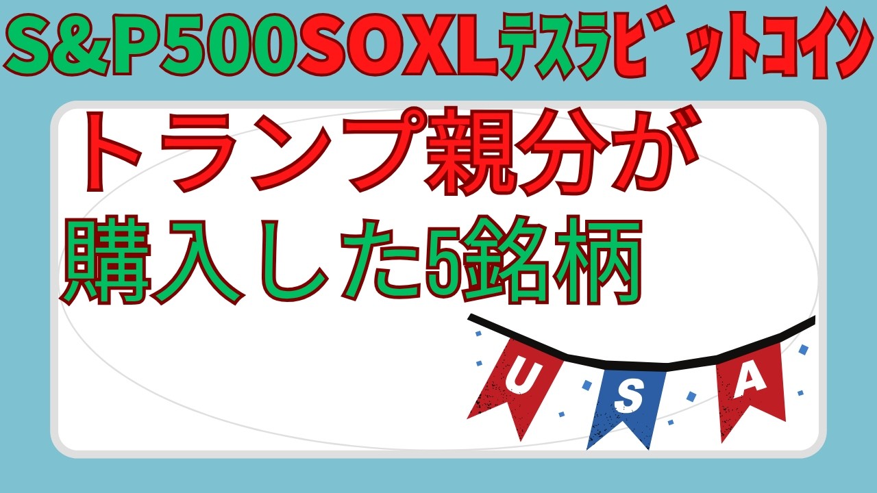 エヌビディア決算に備えよ‼️【今だけ!オンサロ30日以内解約なら実質0円‼️sp500,soxl,テスラ,ビットコイン】