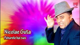 Nicolae Guta - Paharele hai sus