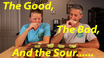 Best Tasting Apple for Desert Climates | Watch This BEFORE You Buy One!