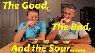 Best Tasting Apple for Desert Climates | Watch This BEFORE You Buy One! The Best Apple Varieties For The Desert