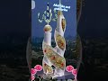 Allah like and subscribe