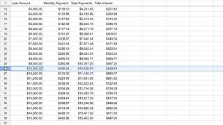 Full Calculate Totals for Interest and Amount Paid News