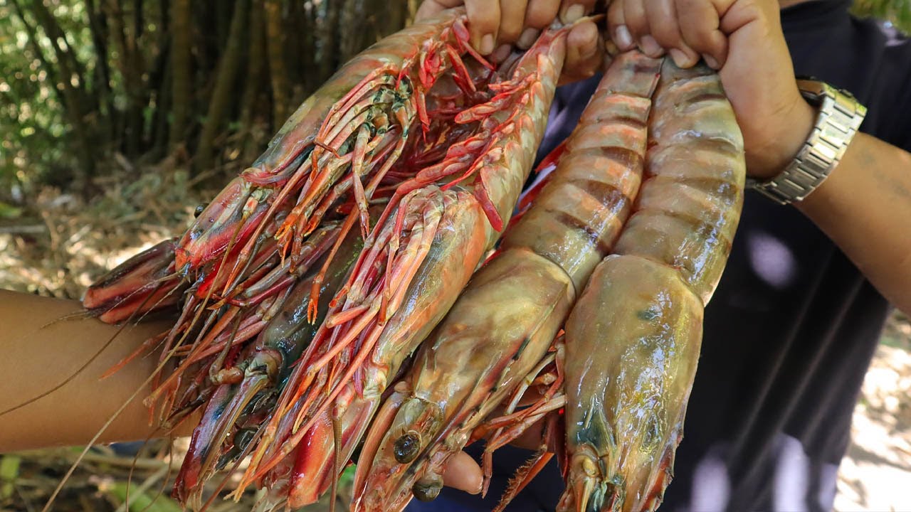 ใหญ่มากกก!! กินกุ้งใหญ่ยักษ์ กุ้ง 2 ตัว กินได้ทั้งครอบครัว I SANSOOK