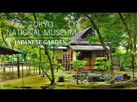 Video: Japanske blomster (bilde). Tunnel med blomster i den japanske hagen 
