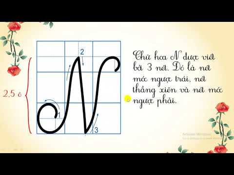 Tập viết 3 - Tuần 26: Ôn chữ hoa T