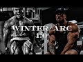 WINTER ARC MUSIC MOTIVATION (SLOWED + REVERB)