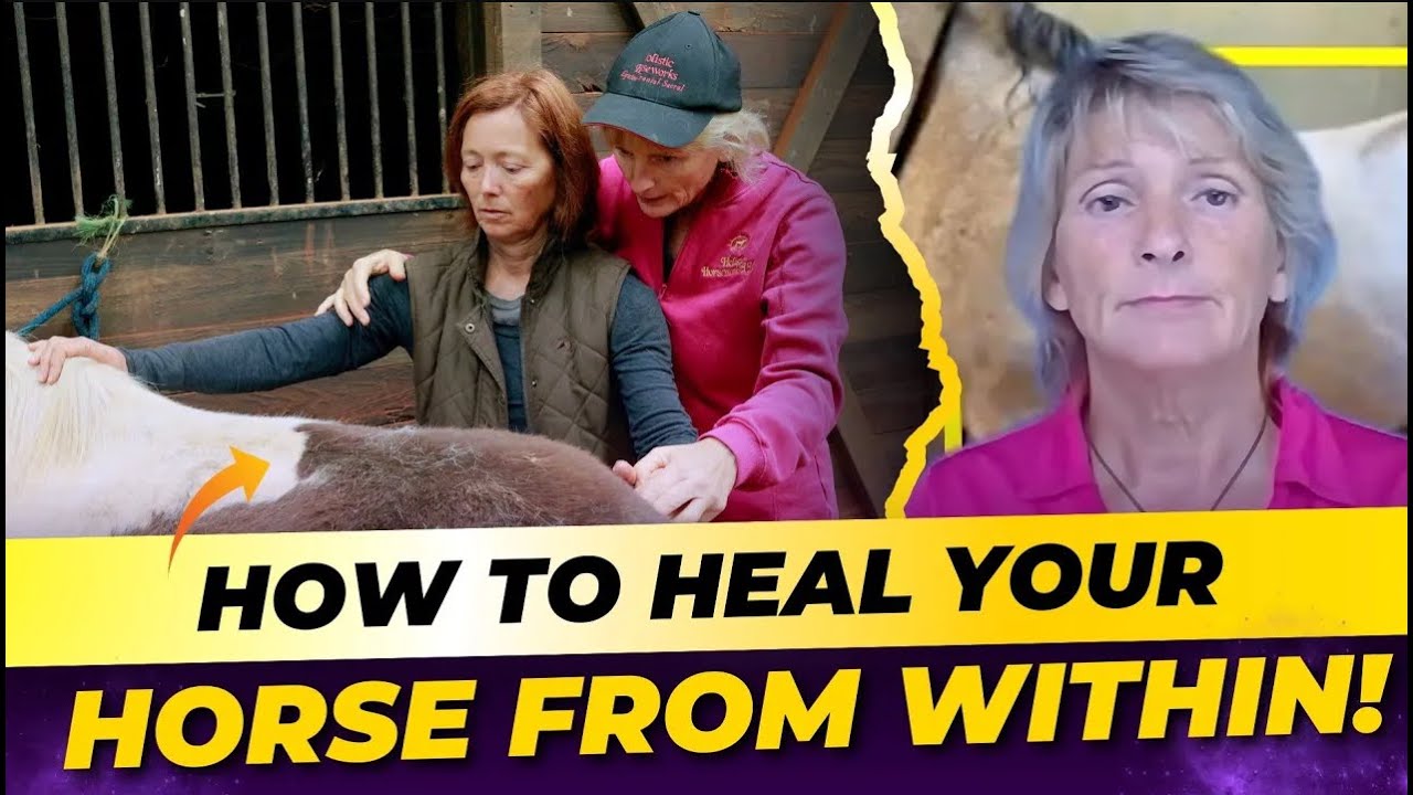 Healing Horses Inside and Out | Emotion Code Insights | Holistic Horseworks