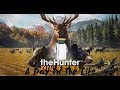 The hunter: Call of the Wild - Just a normal day [PC]