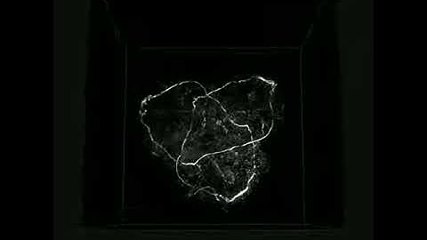 a trefoil knot in water -- 3D