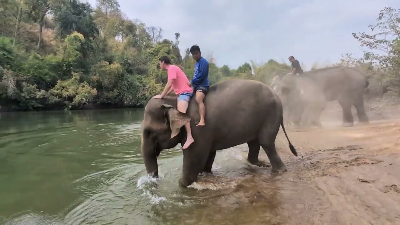 Fun afternoon with the elephants at Elephants Home & Nature Saiyok Thailand
