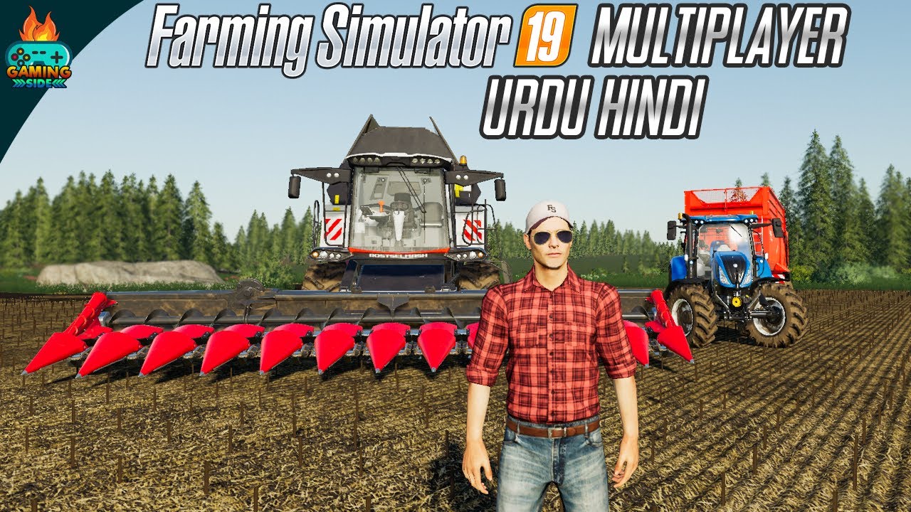 Harvesting Sunflowers and Feeding Our Cows Farming