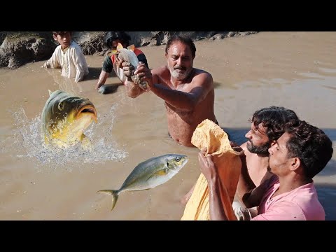 Traditional Hand Fish | Fish Catching @unseenwildlife - YouTube