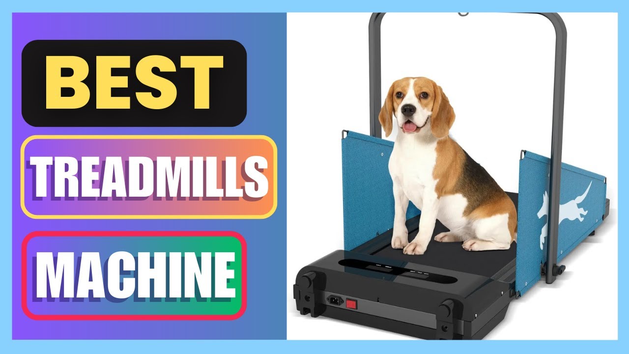 Best Dog Treadmill for Small Medium Dog, Pet Dog Running Machine