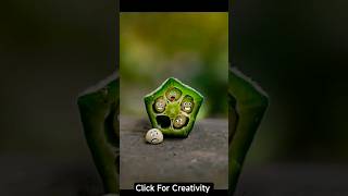 Creative Photography Tips