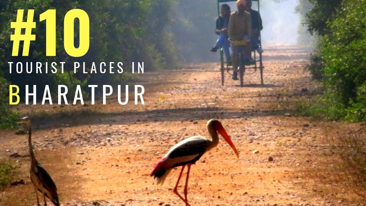 Top 10 Tourist Destination in Bharatpur | Tourist Places in Rajasthan