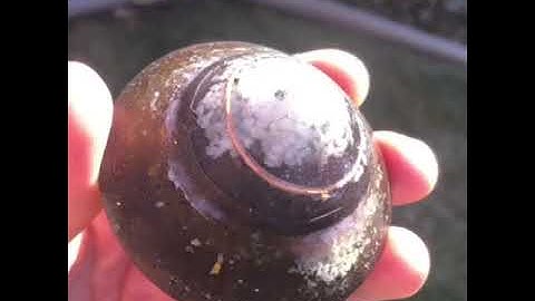 Another orgone energy water freezer test 💦🌪✨