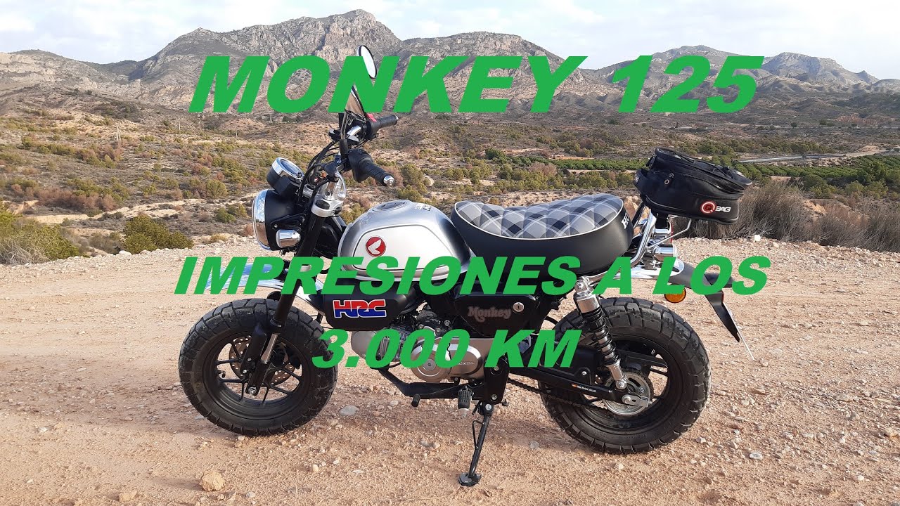 HONDA MONKEY 125 - IMPRESIONES A LOS 3000 KM