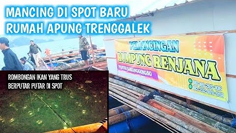 MANCING DIRUMAH APUNG BARU TRENGGALEK KARANGGONGSO PRIGI