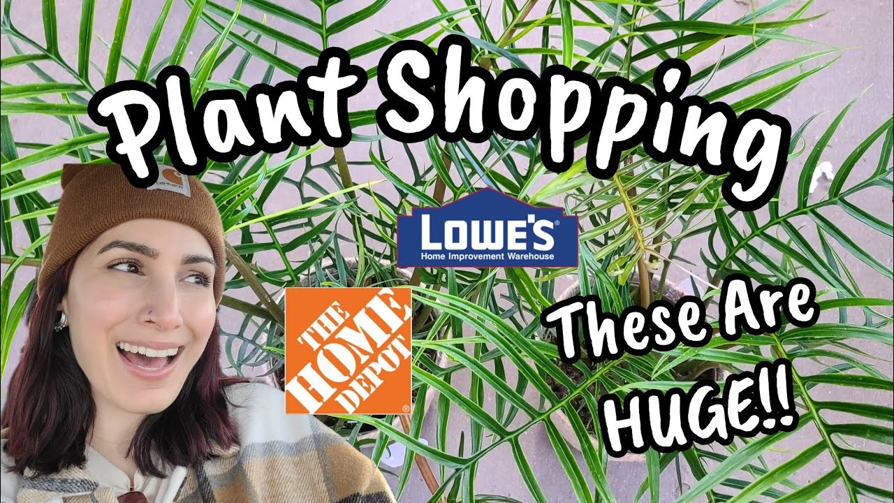 HUGE NEW PLANTS & TONS OF CLEARANCE!! 🧡🌿 Home Depot & Lowe's Plant Shopping I'm Manchester CT ️