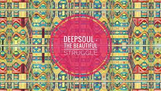 Deepsoul  The Beautiful Struggle original Mix