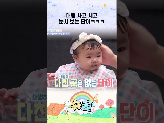 대형 사고 치고 눈치 보는 단이ㅋㅋㅋ #shorts