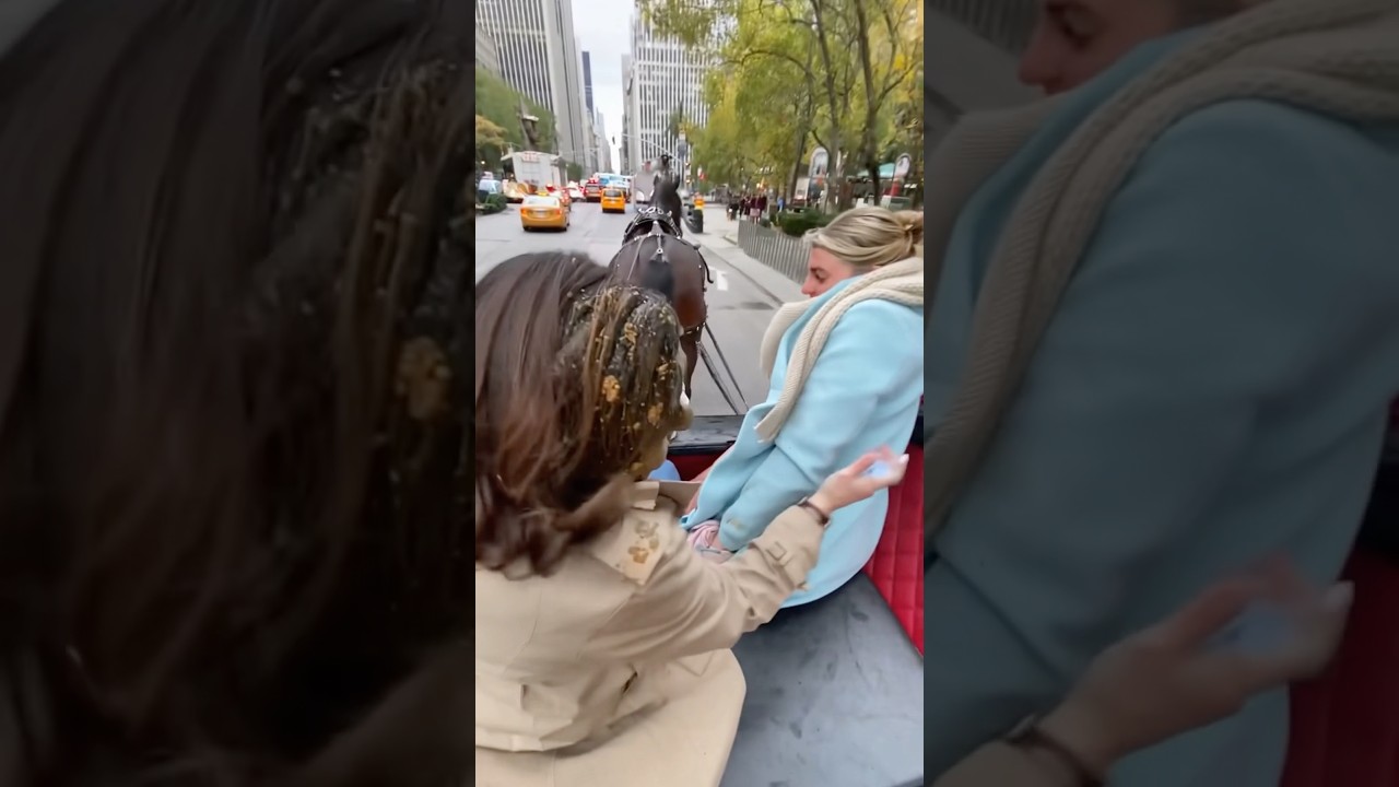 New York horse carriage ride gone wrong!