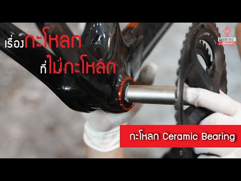 ความรู้เรื่องกะโหลก จักรยาน Ceramic Bearing || S FIGHT