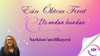 Narkissosun Hikayesi