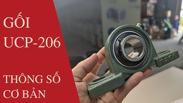 GỐI UCP 206, GỐI P206 GỐI ĐỠ UCP-206