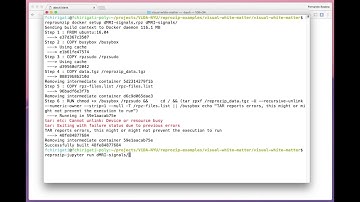 "Brain Segmentation" BONUS 1: reprounzip-jupyter setup & run