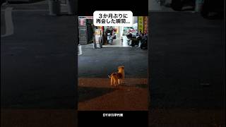 【犬友】引っ越し後初の再会