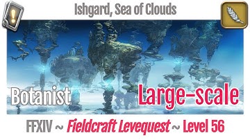 FFXIV Botanist Leves Level 56 Large-scale - Ishgard, Sea of Clouds - Heavensward
