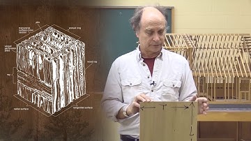 Anisotropic Nature of Wood - Wood Science: Beyond Building