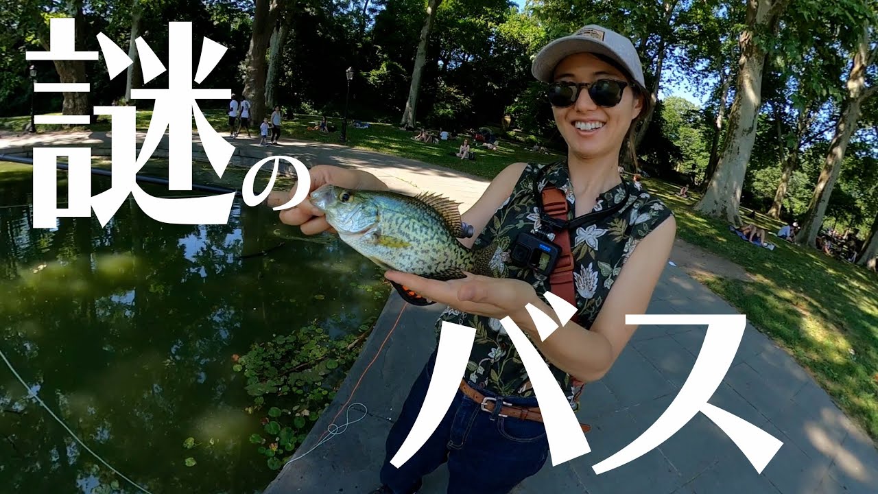バス釣りしてると釣れる、アメリカで人気の謎の魚を狙う｜Hanne