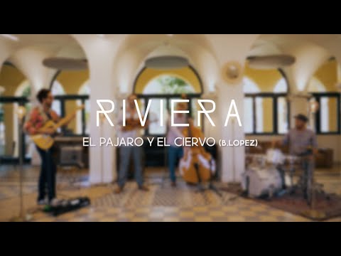 Riviera, Jérémie Schacre, Stephane Bularz, Olivier Samouillan, Guillaume Chevillard - El Pajaro y el Ciervo